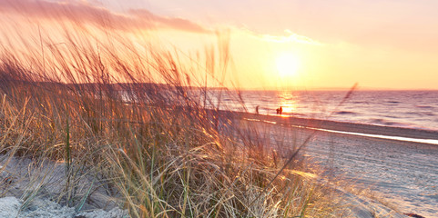 hinter den Dünen, am Meer