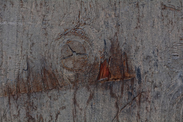 Texture of old wood