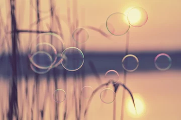 Foto op Canvas tanzende Seifenblasen im Morgenlicht © Jenny Sturm