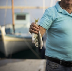 Fisherman Shows off the Sardine Catch. Samos, Greece