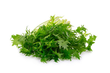 Mizuna greens isolated on white background