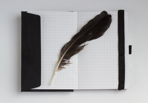 Poetry concept with feather and notebook