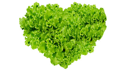 Earth day, Heart symbol in green leaves on isolated