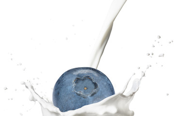Blueberry With Milk Splash