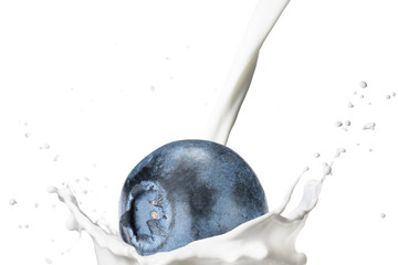 Blueberry With Milk Splash