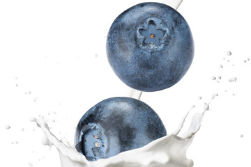 Blueberry With Milk Splash