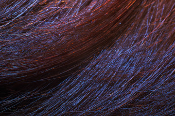 Abstract backgrounds. Closeup of a human hair.