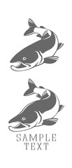  icons salmon