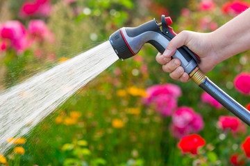 Watering garden flowers using hose