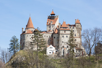 Fototapeta na wymiar Dracula's Castle