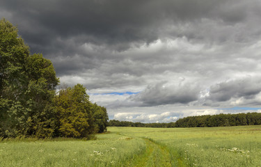 Dark storm clouds over the field