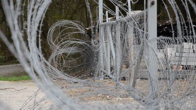 Fl&uuml;chtlinge am Stacheldrahtzaun
