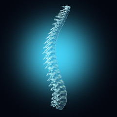 Human spine made from glass. Anatomy 3D illustration.