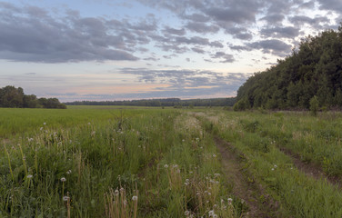 Fototapeta premium Countryside road