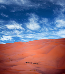 Camel trekking in Erg Chebbi, Western Sahara, Morocco