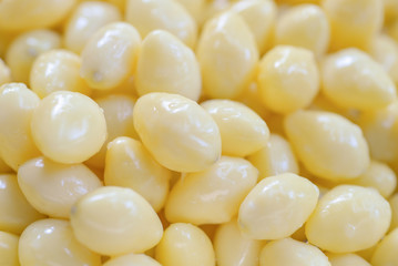 Fresh Lotus Seed or Lotus nut , anti-ageing food