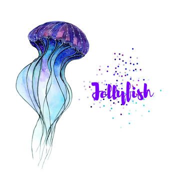 Jellyfish. Watercolor illustration