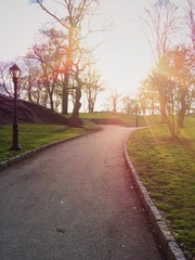 Walk path in Central Park at sunset.