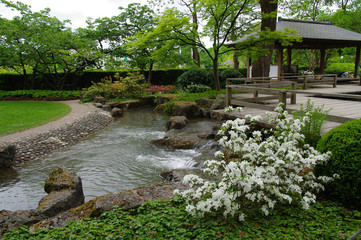 Fototapeta na wymiar Japanischer Garten im Frühjahr