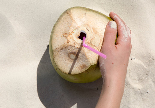 Still life coconut on the beach