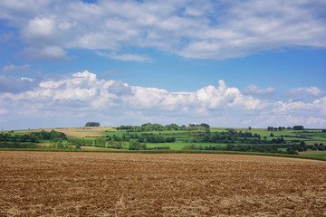 Fototapeta na wymiar View of the fields and meadows