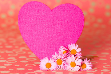 Gänseblümchen mit rosafarbenem Herz