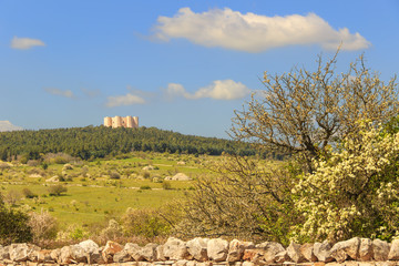 Spring landscape: Alta Murgia National Park.In the background Castel del Monte.Apulia-ITALY(Andria)-