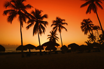 sunset on caribbean beach with silhouette of palms