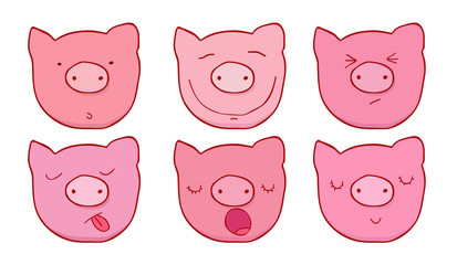 The set of faces of the pigs