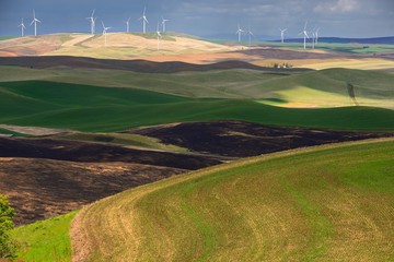 Power plant and the rolling hills farmland. Palouse Hills in Washington, United State of America.