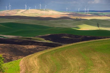 Tuinposter Power plant and the rolling hills farmland. Palouse Hills in Washington, United State of America. © thecolorpixels