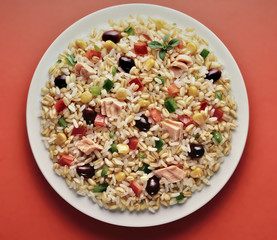 Dish of barley and spelled rice salad