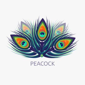Peacock logo in low polygon style. Peacock vector logo and label for web, mobile and print. Colorfull peacock feathers logo.