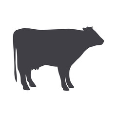 Black cow isolated on a white background.