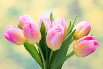 Spring flowers. Tulip bouquet on the bokeh background.