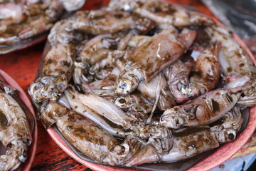 Calamars crus du marché