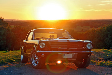 Naklejka na ściany i meble Ford Mustang 1966