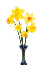 Daffodil flower arrangement