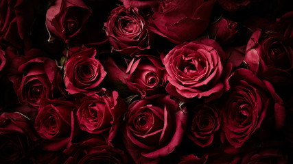 Naklejka premium Roses background