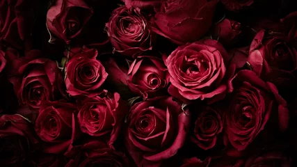 Foto auf Acrylglas Rosen Rosen Hintergrund