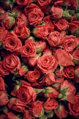 Cercles muraux Roses Fond vintage avec des roses