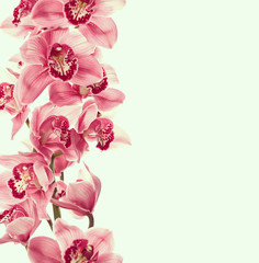 Vintage photo with orchid flowers