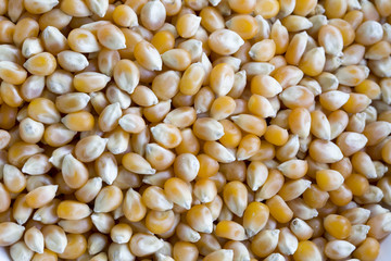 Corn