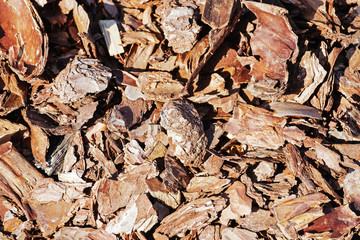 Wooden shavings for garden