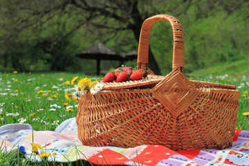 Spring picnic , Picnic basket and blanket on green grass in park, nature.