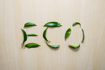Word Eco made with leaves of ruscus flower at wooden rustic wall background. Still life, eco style, top view.