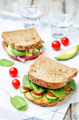 rye sandwiches with carrots and beetroot hummus and vegetables