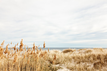 Ostseestrand auf Öland in Schweden