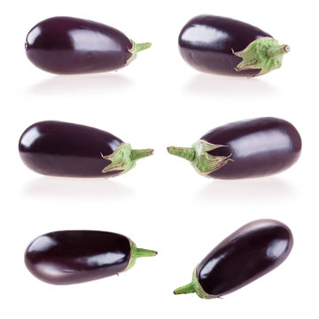 eggplant isolated on white background collection