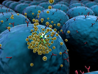 leukocytes and viruses, field of cells with receptors, Human Immune System attack the virus, leukocytes attack viruses